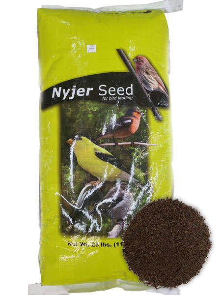 Thistle / Nyjer Seed