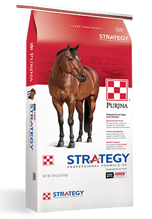 Purina Strategy - Gx  Horse 50#