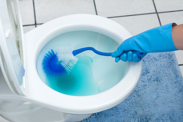 Toilet Cleaners & Drain Openers