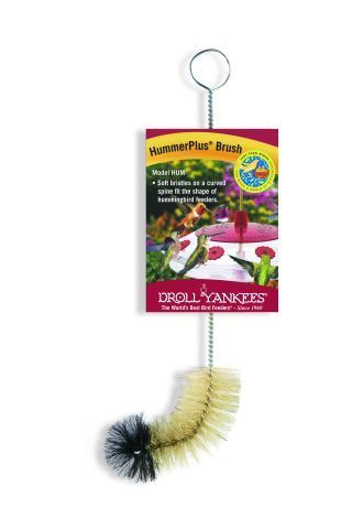 Tube Brush Hummingbird