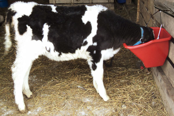 Farm & Livestock Equipment