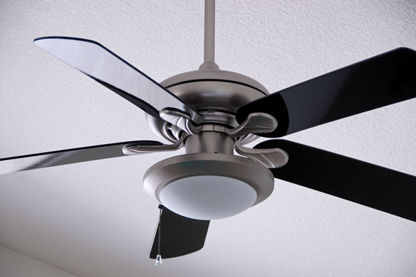 Ceiling Fans & Accessories