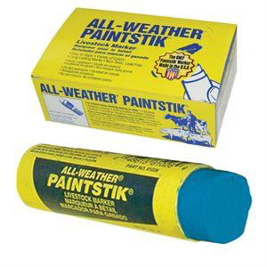 Paintstik Blue Marker