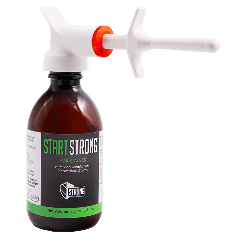 250ml Start Strong Colostrum