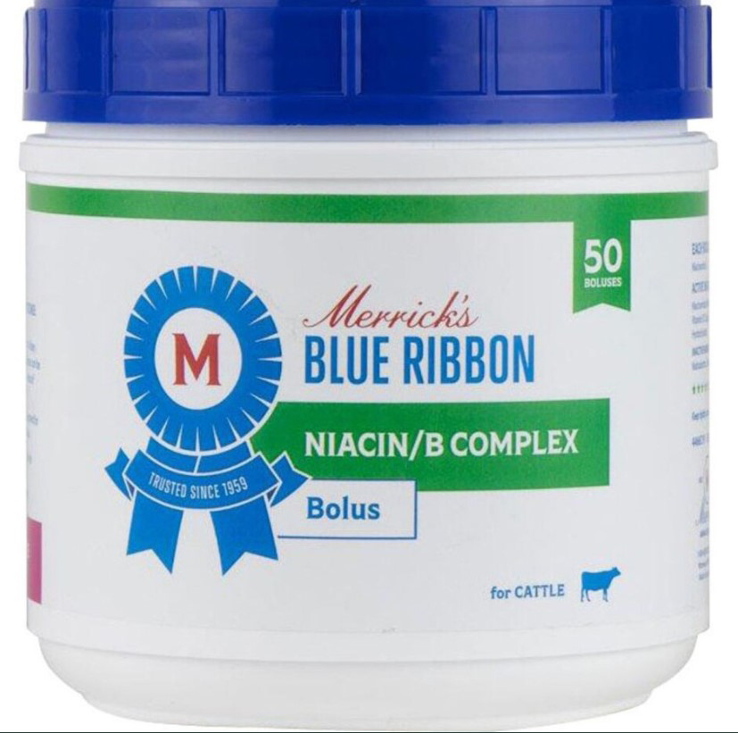 Niacin + B Complex Bolus 50/jar