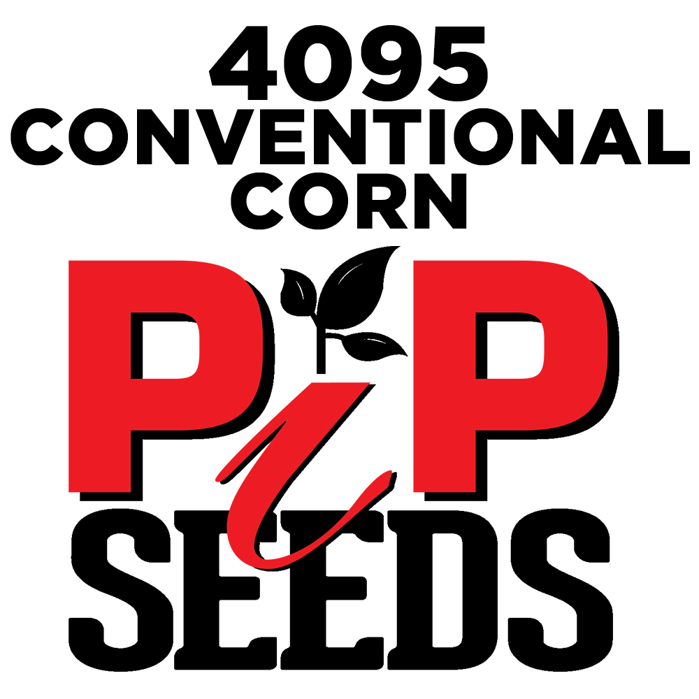 Pip 4195 Seed Corn Conventional