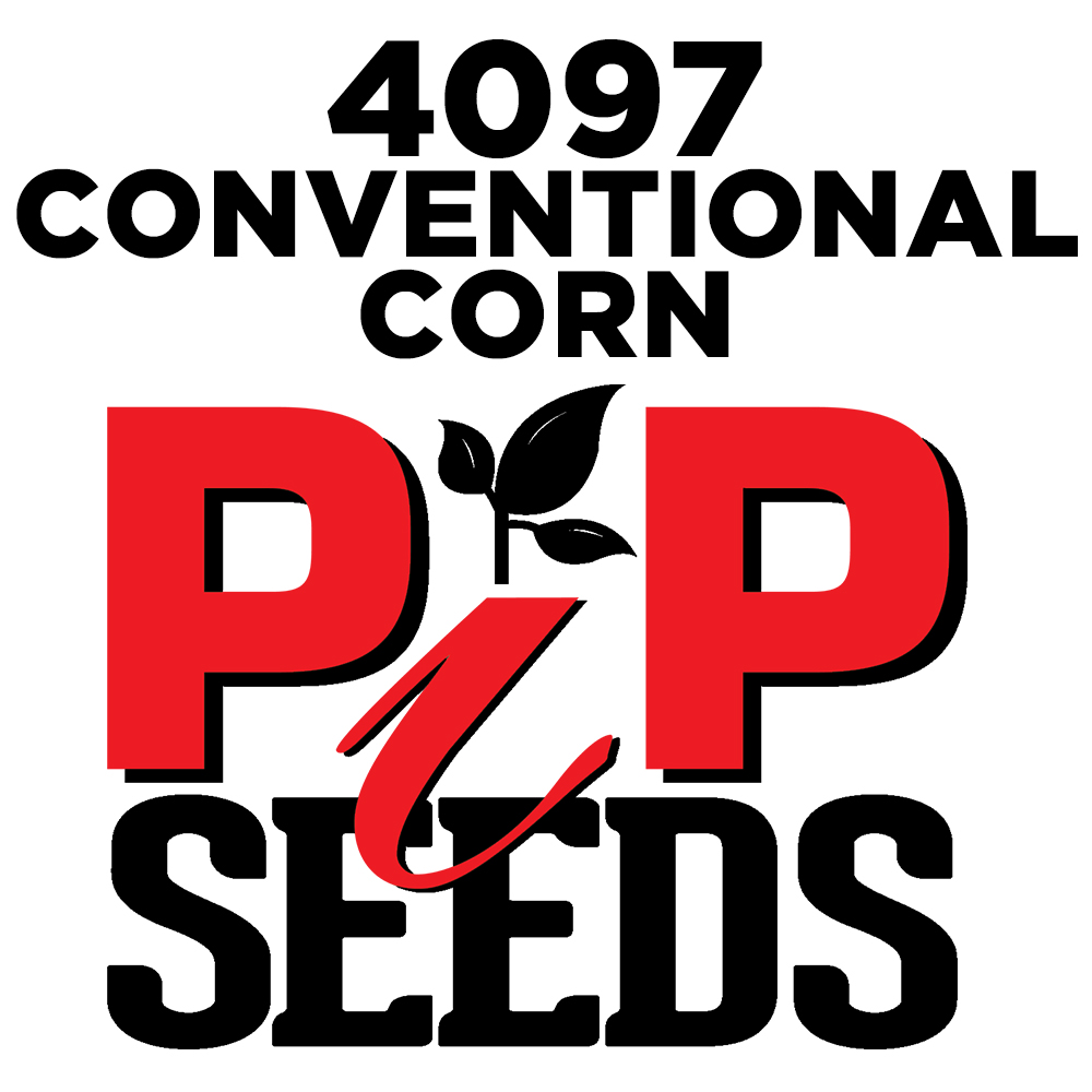 Pip 4097 Seed Corn Conventional