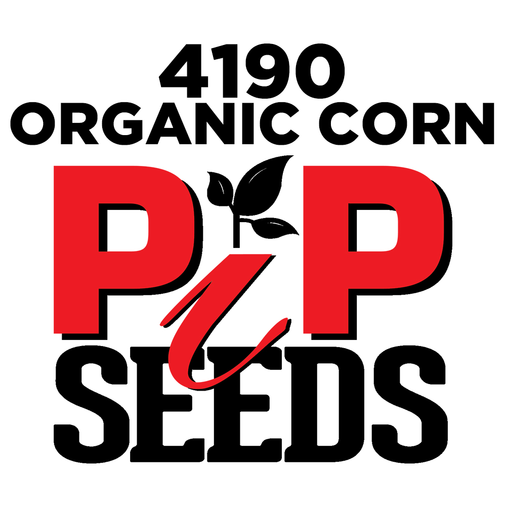 Pip 4390 Organic Seed Corn
