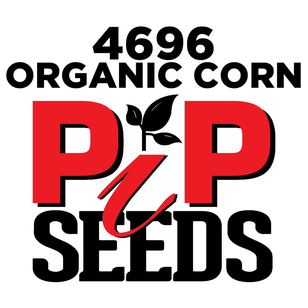 Pip 4696 Organic Seed Corn