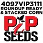 Pip 4797gt Vip4220 Seed Corn
