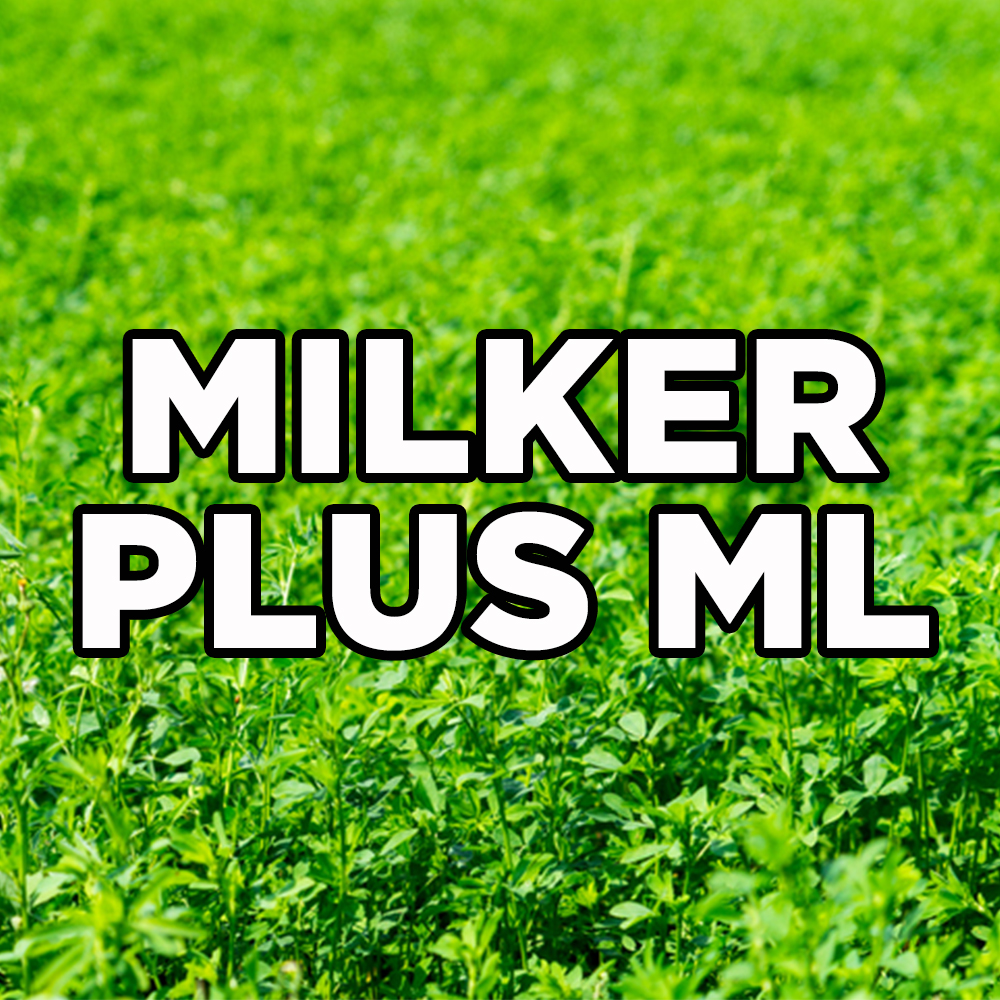 "ML" MILKER PLUS ALFALFA  50#
