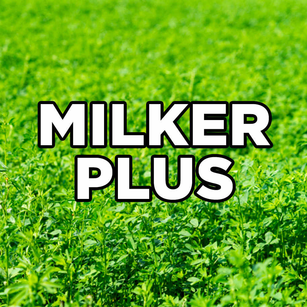 MILKER PLUS ALFALFA  50#