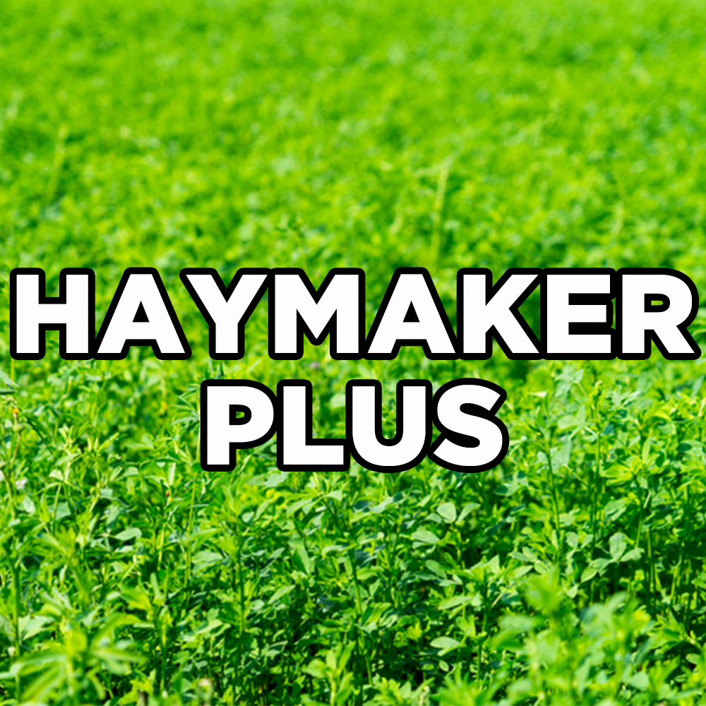 HAYMAKER PLUS ALFALFA 50#