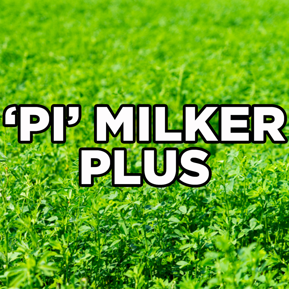 "pi" Milker Plus Alfalfa 50# Pi