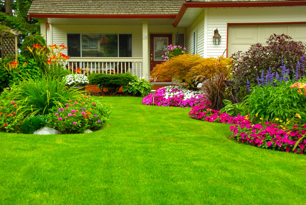 Lawn & Garden