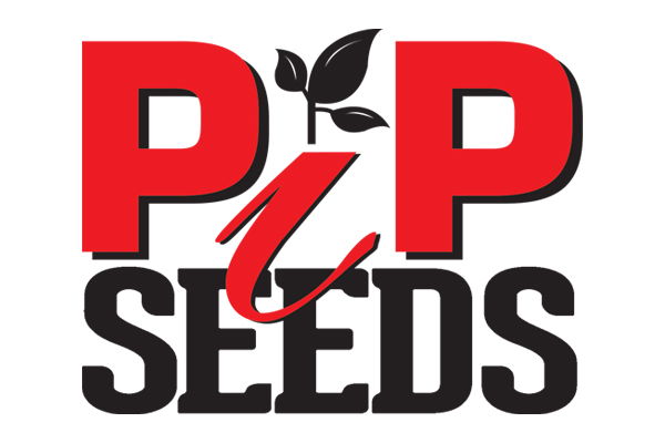 PIP Seeds