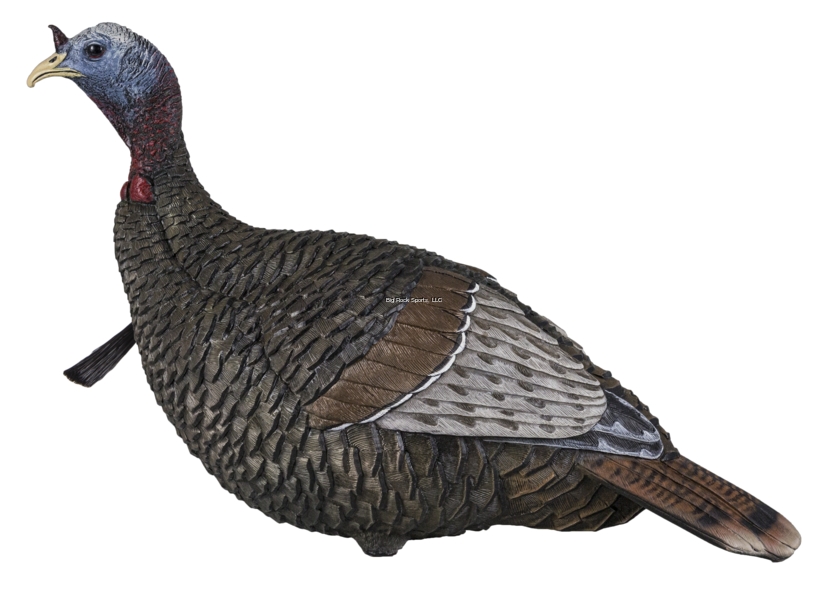 Thunder Jake Turkey Decoy