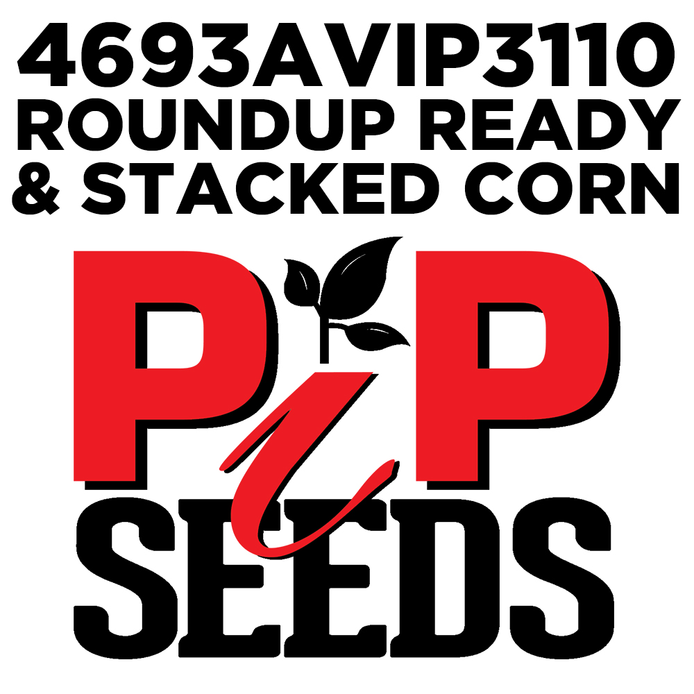 Pip 4693a Vip 3110 Seed Corn