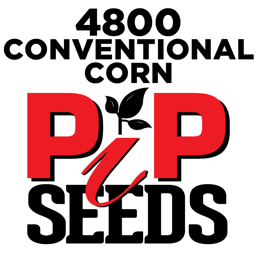 Pip 4800 Seed Corn Conventional