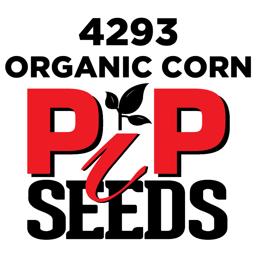 Pip 4293 Organic Seed Corn