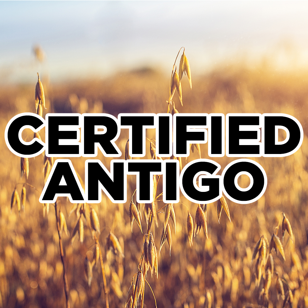 Cert Antigo Seed Oats  Bag 50#