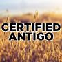 Cert Antigo Seed Oats  Bag 50#