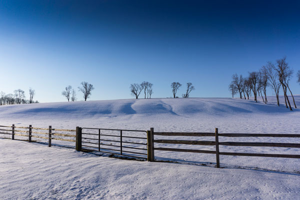 Gates & Feeder Panels