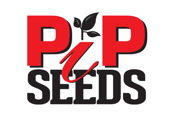 PIP Seeds