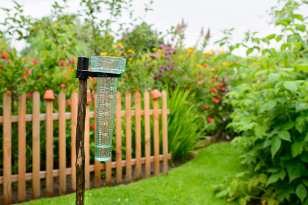 Thermometers, Rain Gauges, & Miscellaneous