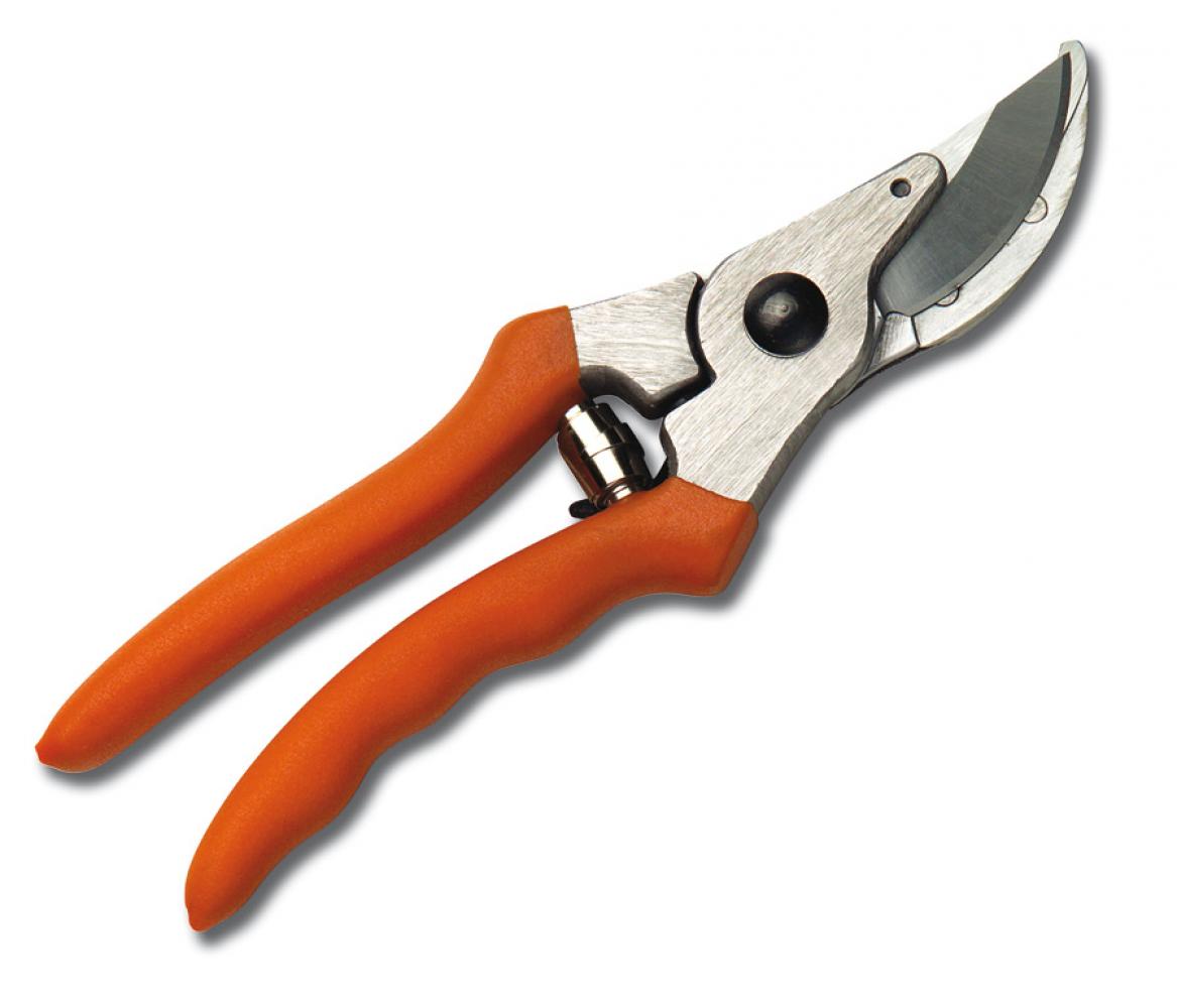 PP 10 Hand Pruner