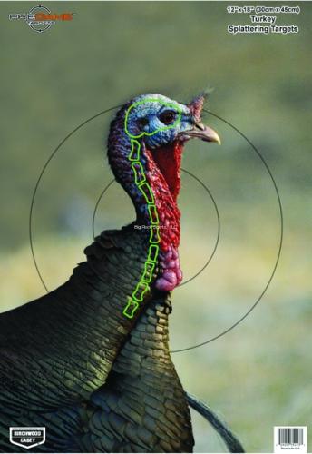 8-Pk PreGame Turkey 12x18 Target