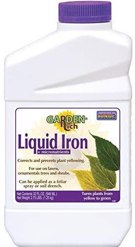 32-Oz Liquid Iron Complex