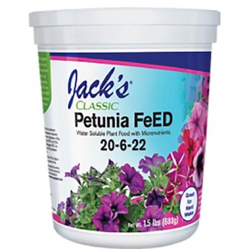 Jack Petunia Feed