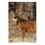 3PK 16.5"x24" Whitetail Deer