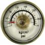 Pressure Gauge