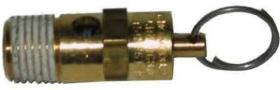 Pressure Relief Valve - 200PSI