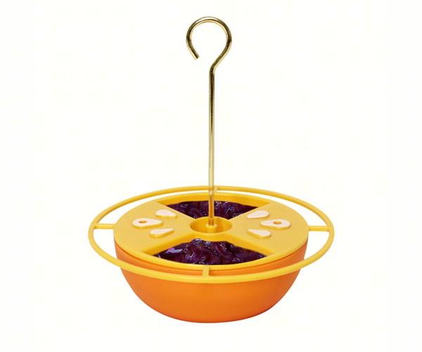 Oriole Citrus Buffet