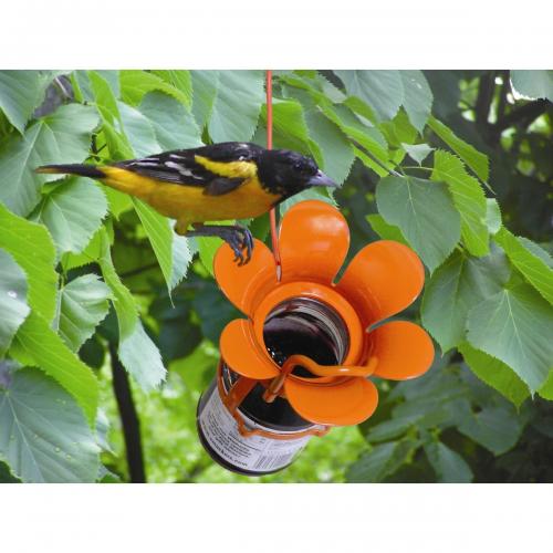 .Jelly & Jam Oriole Feeder