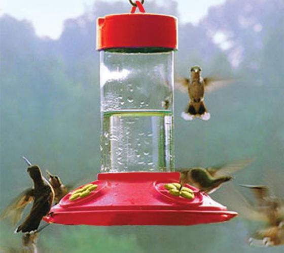 16-Oz Hummingbird Feeder