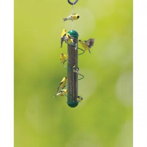 Spiral Finch Tube Feeder