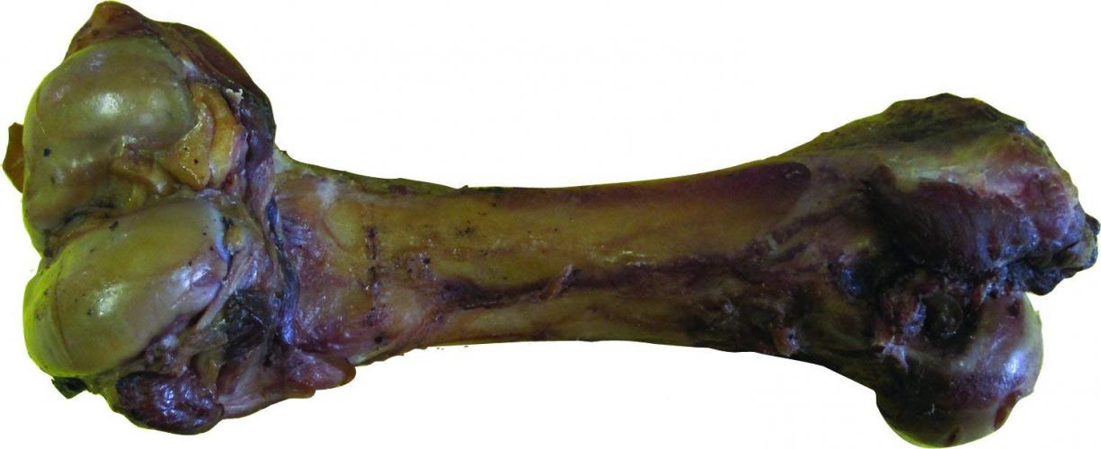 King Oink Juicy Ham Bone