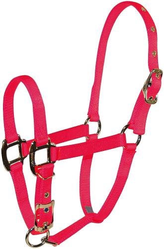 Halter Equine Asst Sizes Sf