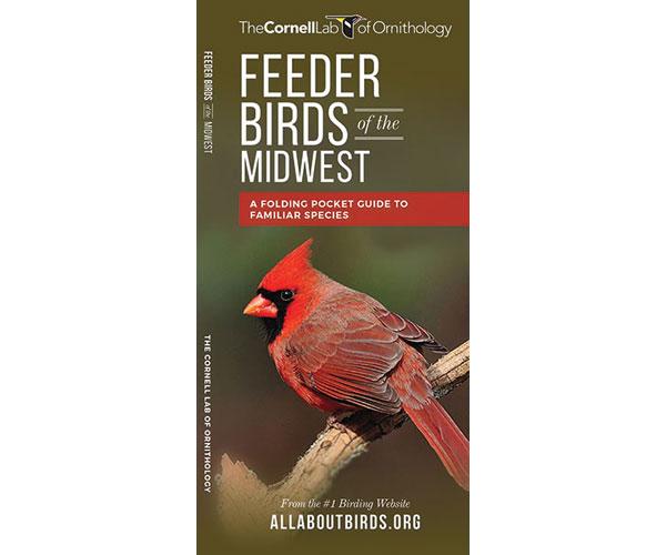Feeder Birds of the Midwest US