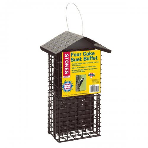 Four Cake Dlx Suet Buffet 38129