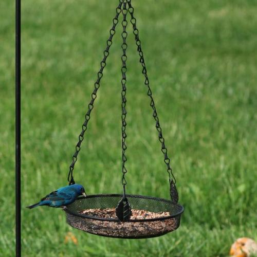 Hanging Tray Feeder