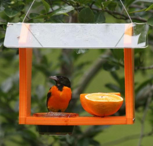 Recycled Oriole Feeder