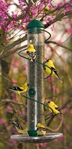 Spiral Sunflower Feeder