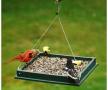 Nutty Berries Seed Log