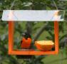Recycled Oriole Feeder