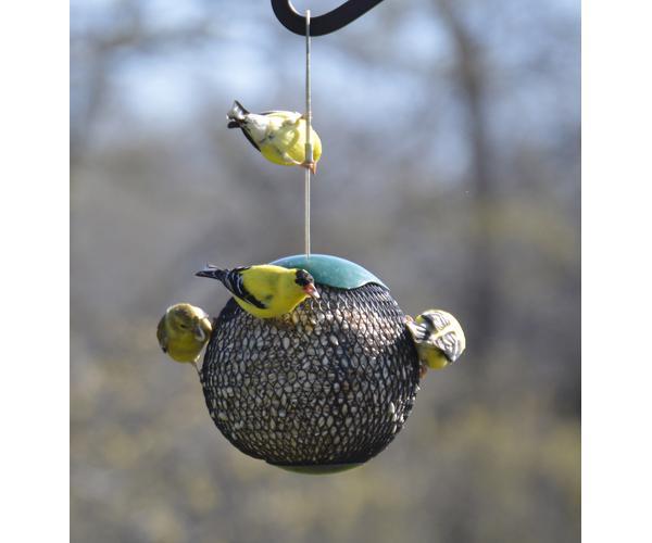 Green Seed Sphere Feeder